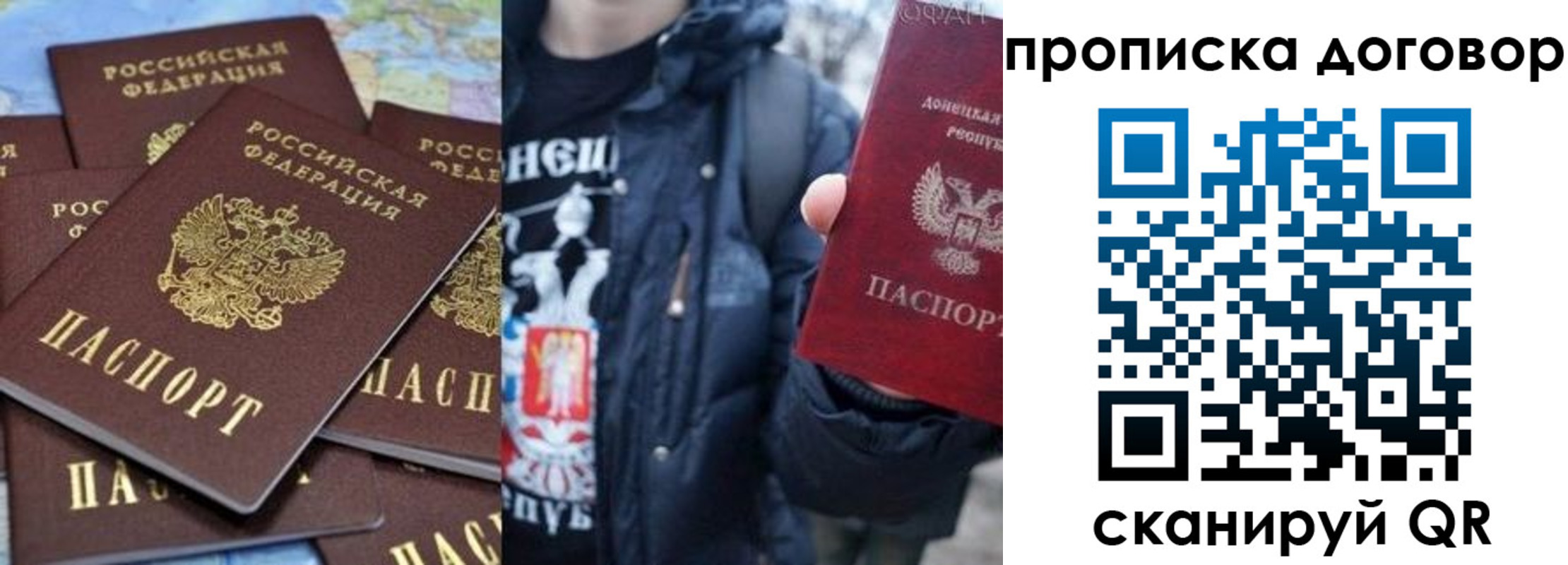 прописка поиск в Ельне